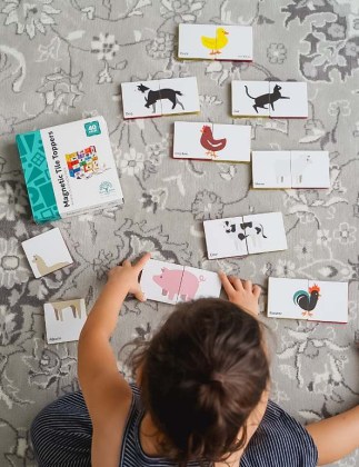 magnetic-toys-animals