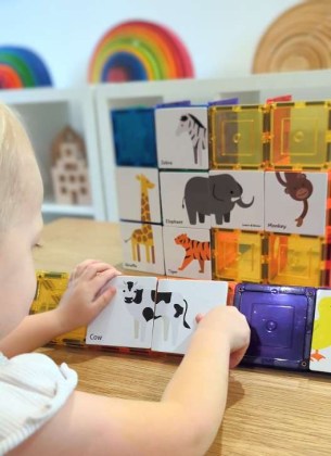 magnhtika-paixnidia-zoakia